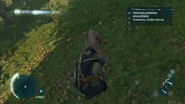 Wait for it to approach the branch youre on and jump onto it with a hidden blade - The Hunting Society in Assassins Creed III Remastered - Guild missions - Assassins Creed III Game Guide & Walkthrough