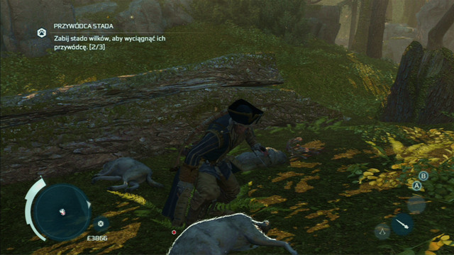 Kill three wolves to lure out their leader - The Hunting Society in Assassins Creed III Remastered - Guild missions - Assassins Creed III Game Guide & Walkthrough