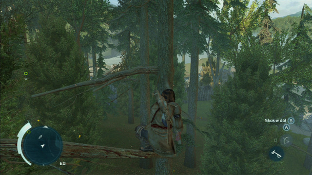 The item you seek is lying on one of its branches - Sequence 4 - Feathers and Trees | Assassins Creed III Remastered Walkthrough - Walkthrough - Assassins Creed III Game Guide & Walkthrough