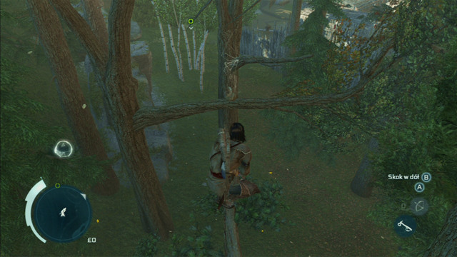 From there you can also jump to the second feather - Sequence 4 - Feathers and Trees | Assassins Creed III Remastered Walkthrough - Walkthrough - Assassins Creed III Game Guide & Walkthrough