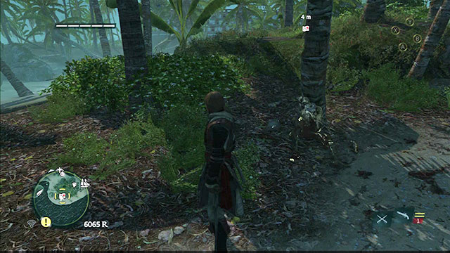 In the game, there are 22 hidden treasure coves - Introduction | Treasure maps - Treasure maps - Assassins Creed IV: Black Flag Game Guide & Walkthrough