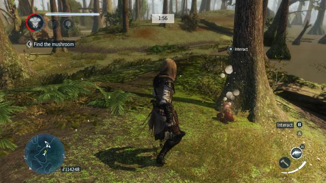 Find 3 mushrooms - The remaining missions - Side missions - Assassins Creed: Liberation HD - Game Guide and Walkthrough
