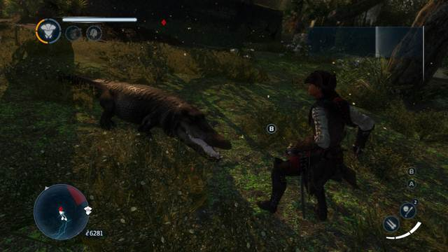 The eggs are protected by alligators - Main collectibles - Collectibles - Assassins Creed: Liberation HD - Game Guide and Walkthrough