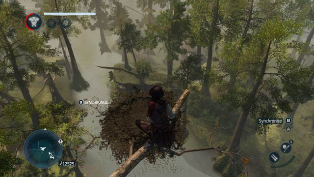 Synchronization in the woods - The other collectibles - Collectibles - Assassins Creed: Liberation HD - Game Guide and Walkthrough