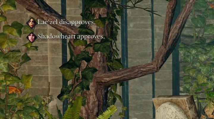 The topic of the approval indicator of party members has been described in more detail on a separate page How to check a companion's support - Baldurs Gate 3: Party management - Baldurs Gate 3: Party, all companions - Baldurs Gate 3 Guide, Walkthrough