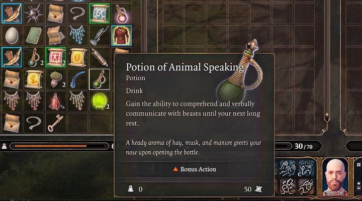 Communication with animals is possible in several different ways - Baldurs Gate 3: How to talk to animals? - Baldurs Gate 3: Exploration - Baldurs Gate 3 Guide, Walkthrough