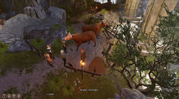 Baldurs Gate 3: How to talk to animals? | gamepressure.com