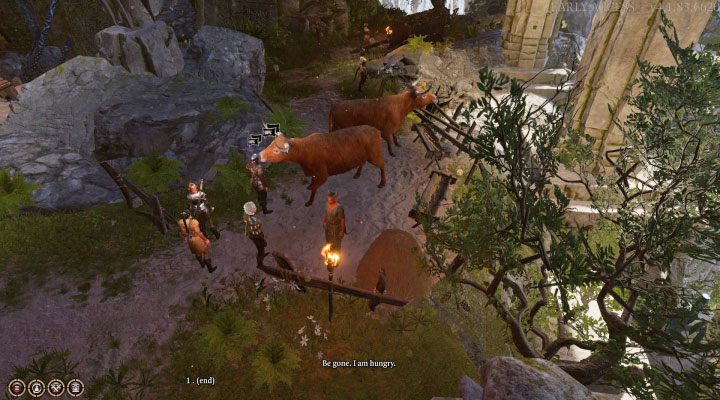 After choosing a spell, potion or invocation, you must click on the animal you encounter - Baldurs Gate 3: How to talk to animals? - Baldurs Gate 3: Exploration - Baldurs Gate 3 Guide, Walkthrough