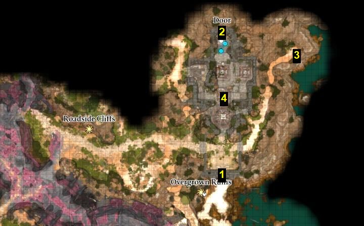 The Overgrown Ruins are located to the north of the beach and to the east of the Nautiloid ship ruins - Baldurs Gate 3: How to enter Overgrown Ruins - Puzzle solution - Baldurs Gate 3: Puzzles - Baldurs Gate 3 Guide, Walkthrough