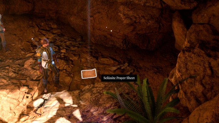 5 - Baldurs Gate 3: Chest near the Owlbear Nest, puzzle solution - Baldurs Gate 3: Puzzles - Baldurs Gate 3 Guide, Walkthrough