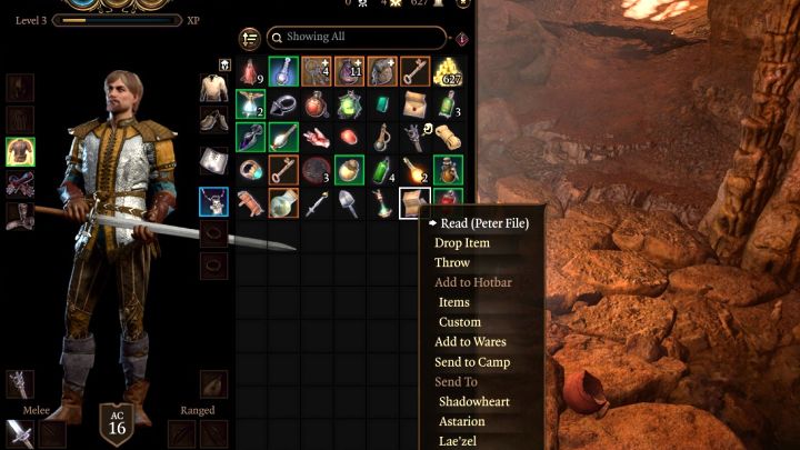 6 - Baldurs Gate 3: Chest near the Owlbear Nest, puzzle solution - Baldurs Gate 3: Puzzles - Baldurs Gate 3 Guide, Walkthrough