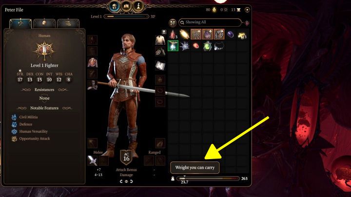 1 - Baldurs Gate 3: Is there capacity limit? - Baldurs Gate 3: Character & party development - Baldurs Gate 3 Guide, Walkthrough