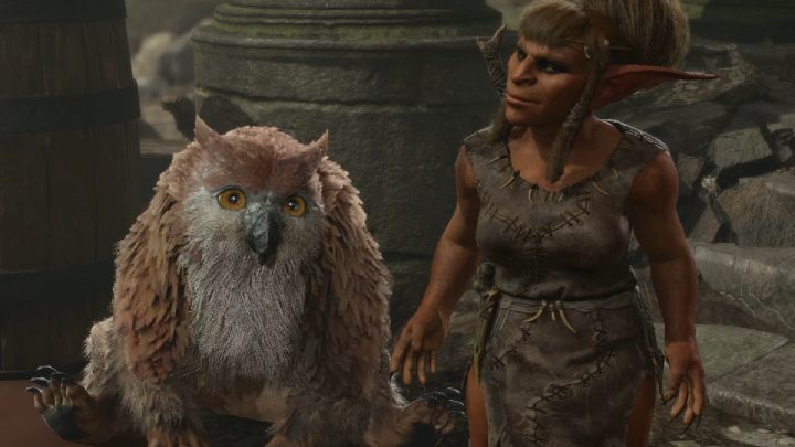 Little Owlbear - Baldurs Gate 3: Goblin Camp - map - Baldurs Gate 3: World Atlas - Baldurs Gate 3 Guide, Walkthrough