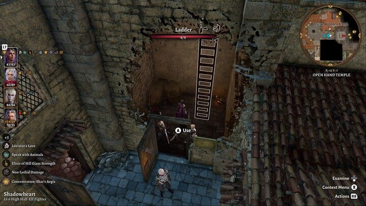 Jump down to the lower level from the temple tower and talk to Gale's Tressym - Baldurs Gate 3: Find the Missing Letters - Baldurs Gate 3: Act 3 - Baldurs Gate 3 Guide, Walkthrough