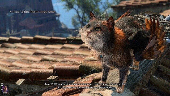 Convince it not to hunt pigeons and then take the lost letters - you can read them if you like - Baldurs Gate 3: Find the Missing Letters - Baldurs Gate 3: Act 3 - Baldurs Gate 3 Guide, Walkthrough