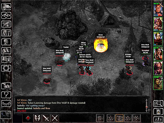 Engage the wolves - Side Quests in Coast Way Forest - Coast Way Forest - Baldurs Gate: Siege of Dragonspear Game Guide