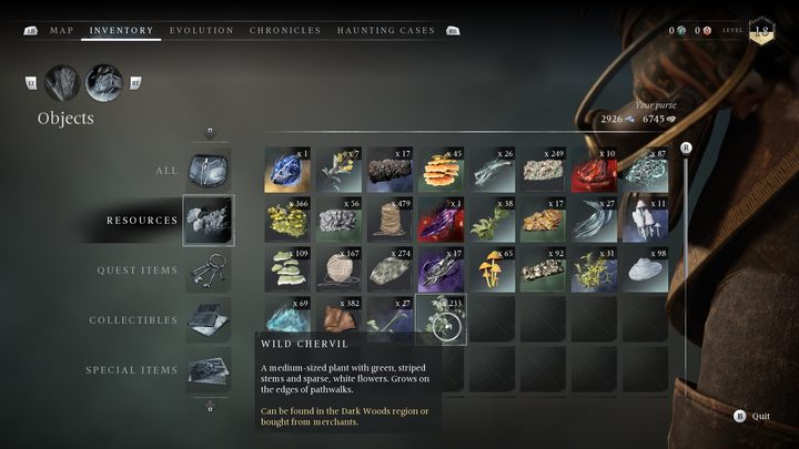 A common white-flowered plant growing in the The Dark Woods region - Banishers Ghosts of New Eden: All Ritual resources - Banishers Ghosts of New Eden: Basics - Banishers Ghosts of New Eden Guide