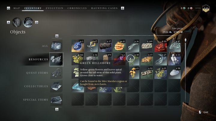 A tall plant that likes to grow near water - Banishers Ghosts of New Eden: All Ritual resources - Banishers Ghosts of New Eden: Basics - Banishers Ghosts of New Eden Guide