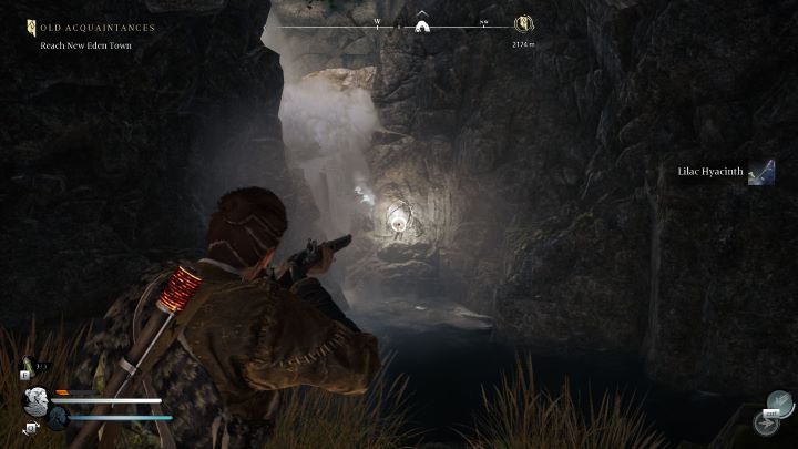 15 - Banishers Ghosts of New Eden: All Soul Grabbers - Dark Forest - Banishers Ghosts of New Eden: Soul Grabbers - Banishers Ghosts of New Eden Guide