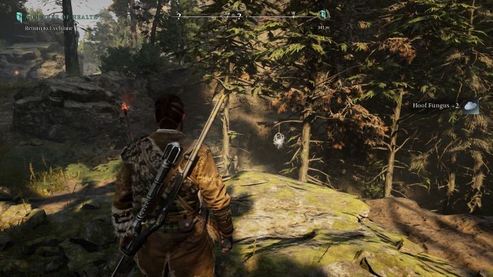 29 - Banishers Ghosts of New Eden: All Soul Grabbers - Dark Forest - Banishers Ghosts of New Eden: Soul Grabbers - Banishers Ghosts of New Eden Guide