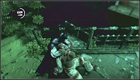 9 - Walkthrough - Botanical Gardens - part 2 - Walkthrough - Batman: Arkham Asylum Game Guide & Walkthrough