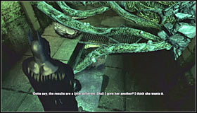 10 - Walkthrough - Botanical Gardens - part 3 - Walkthrough - Batman: Arkham Asylum Game Guide & Walkthrough