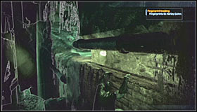 5 - Collectibles - Botanical Gardens - part 3 - Collectibles - Batman: Arkham Asylum Game Guide & Walkthrough