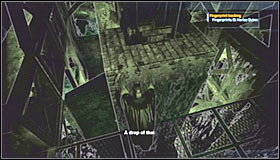 7 - Collectibles - Botanical Gardens - part 3 - Collectibles - Batman: Arkham Asylum Game Guide & Walkthrough