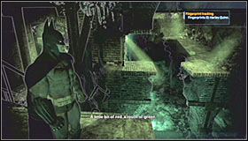 9 - Collectibles - Botanical Gardens - part 3 - Collectibles - Batman: Arkham Asylum Game Guide & Walkthrough