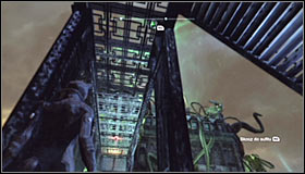 The Trophy is hidden below the bridge leading to Poison Ivys estate #1 - Catwoman trophies | Amusement Mile - Amusement Mile - Batman: Arkham City Game Guide