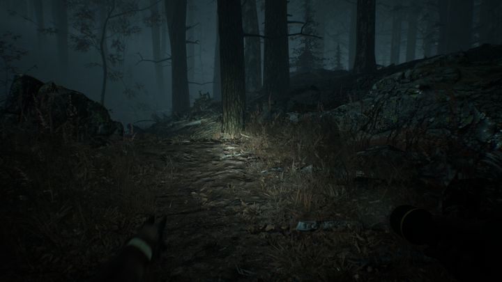 Along the way, youll encounter a bottle - Chapters 8 and 9 | Blair Witch Walkthrough - Walkthrough - Blair Witch Guide
