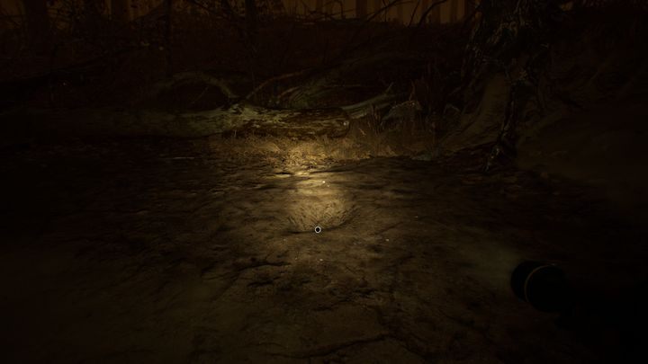 Dog tag 3 is found along the way to camp A - Dog tags in Blair Witch - Secrets - Blair Witch Guide