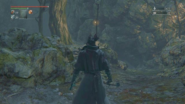 The path leading to the cave. - Forbidden Woods | Walkthrough - Walkthrough - Bloodborne Game Guide & Walkthrough