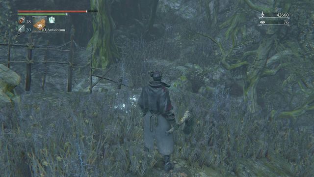 Along your path, you encounter scores of opponents - Forbidden Woods | Walkthrough - Walkthrough - Bloodborne Game Guide & Walkthrough