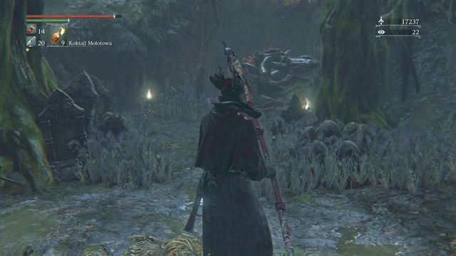 At the very bottom, it is good to locate the niche that you can see in the screen above - Forbidden Woods | Walkthrough - Walkthrough - Bloodborne Game Guide & Walkthrough