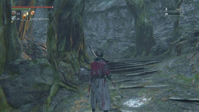 There is an enemy hiding behind the tree. - Forbidden Woods | Walkthrough - Walkthrough - Bloodborne Game Guide & Walkthrough