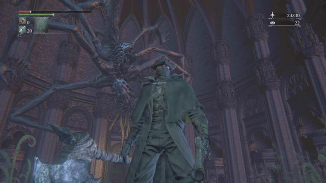 You see Amygdalas kin either after you have accumulated enough Insight, or after you kill Rom, the Vacuous Spider. - Multiplayer | Weapons and armor - Basics - Bloodborne Game Guide & Walkthrough