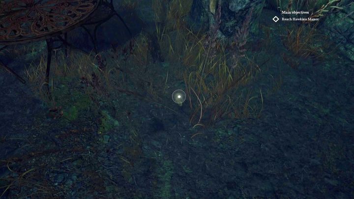 An item that you can pick up - Small wooden whale. - Chapter 3 - Garden of the Hawkins mansion | Call of Cthulhu Walkthrough - Walkthrough - Call of Cthulhu Guide