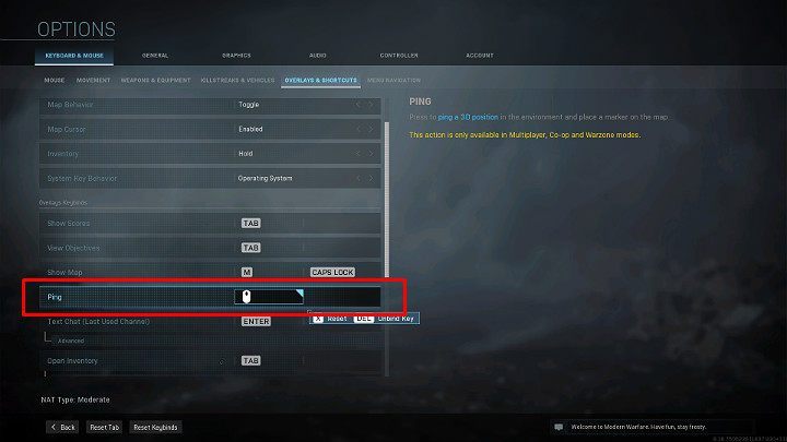 The button responsible for pinging can be freely changed in the game options - Warzone: Communication - Basics - Warzone Guide