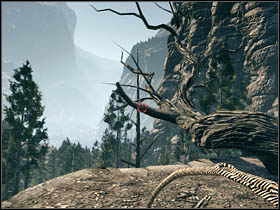 Then use the lasso (and the dead three from the picture) and join him at the bottom of the cliff - Chapter X - Brothers - Call of Juarez: Bound in Blood - Game Guide and Walkthrough