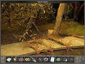 Once in the count's gardens, before going to the apse, take a look at the pool (zoom) - Walkthrough - Venice - Plazza Celeste - Venice - Chronicles of Mystery: The Tree of Life - Game Guide and Walkthrough