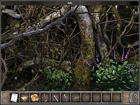 10 - Walkthrough - Bimini Island - Landing field - Bimini island - Chronicles of Mystery: The Tree of Life - Game Guide and Walkthrough