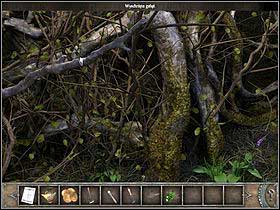 Head to the bushes on the right - Walkthrough - Bimini Island - Landing field - Bimini island - Chronicles of Mystery: The Tree of Life - Game Guide and Walkthrough