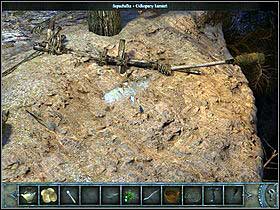 4 - Walkthrough - Bimini Island - The village - Bimini island - Chronicles of Mystery: The Tree of Life - Game Guide and Walkthrough