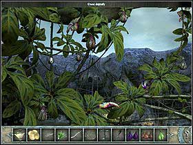 5 - Walkthrough - Bimini Island - The trees crown - Bimini island - Chronicles of Mystery: The Tree of Life - Game Guide and Walkthrough
