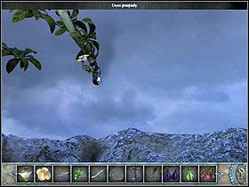 Afterwards check the branches on the right side of the tree and pick all the fruits (5 ripe) - Walkthrough - Bimini Island - The trees crown - Bimini island - Chronicles of Mystery: The Tree of Life - Game Guide and Walkthrough