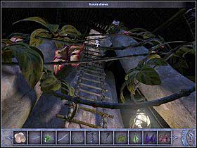 8 - Walkthrough - Bimini Island - The trees crown - Bimini island - Chronicles of Mystery: The Tree of Life - Game Guide and Walkthrough