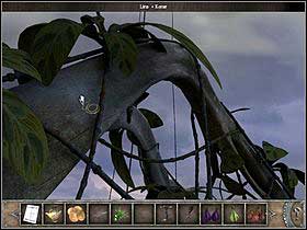 11 - Walkthrough - Bimini Island - The trees crown - Bimini island - Chronicles of Mystery: The Tree of Life - Game Guide and Walkthrough