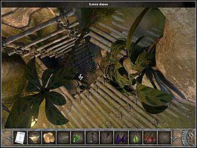 Go to the right side of the tree and investigate the bough (zoom) - Walkthrough - Bimini Island - The trees crown - Bimini island - Chronicles of Mystery: The Tree of Life - Game Guide and Walkthrough