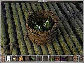 Take a look at the overripe fruit on the right once more (zoom) - Walkthrough - Bimini Island - The trees crown - Bimini island - Chronicles of Mystery: The Tree of Life - Game Guide and Walkthrough